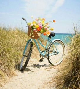 2f80ab55bbfccaef783d14b9bd80e156